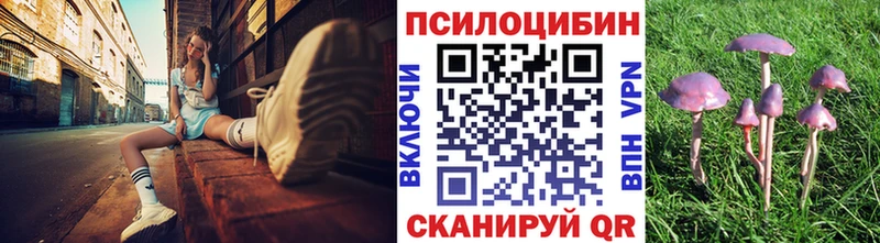 Галлюциногенные грибы мухоморы  сколько стоит  Почеп 