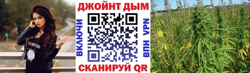 как найти наркотики  Почеп  shop как зайти  Шишки марихуана LSD WEED 